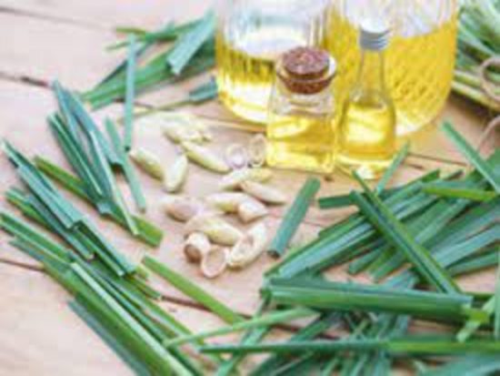 Dorafoods-sả chanh2 (1)