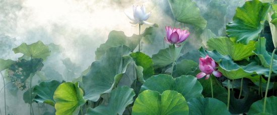 Cải tiến & Đổi mới