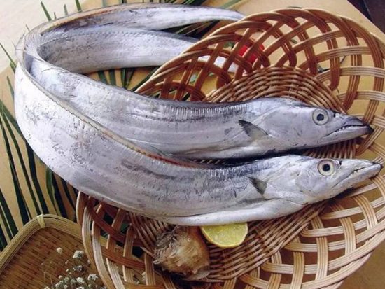 Cá-biển Cá-biển