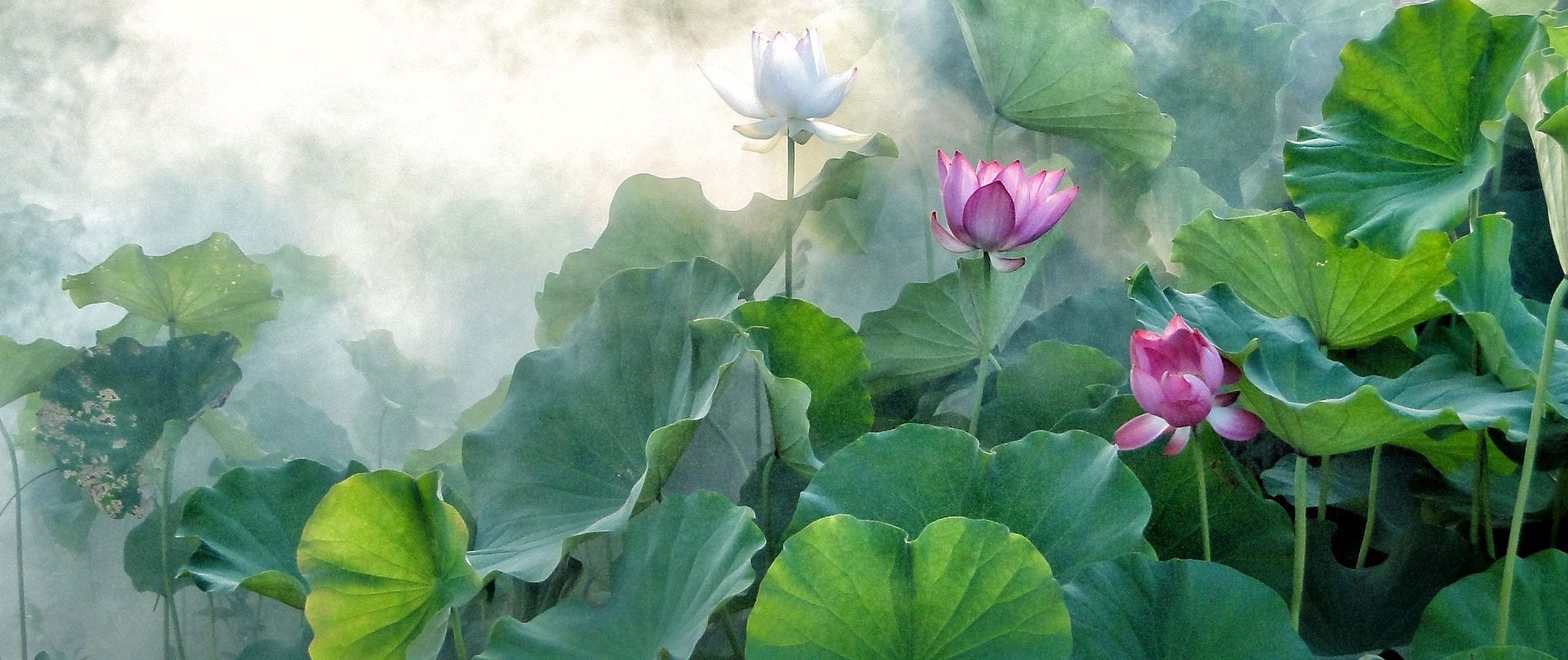 Cải tiến & Đổi mới